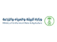 salogos.org (4)
